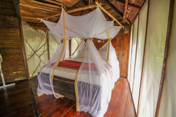 Hotel On Vacation Amazon All Inclusive
